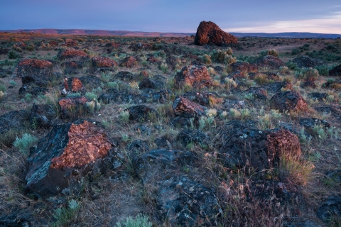Basalt boulders strewn across a wide landscape as the result of ancient floods.