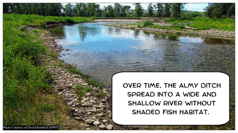wide river with rocky banks and a text box reading "Over time, the Almy Ditch spread into a wide and shallow river without shaded fish habitat"