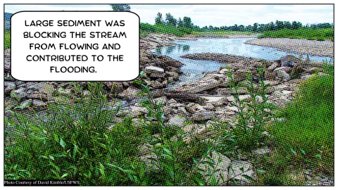 view of a river from the sparse vegetation on the rocky banks and a text box reading "Large sediment was blocking the stream from flowing and contributed to the flooding"