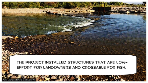 open river with rocks creating a v-shape and text in a bubble reading "The project installed structures that are low-effort for landowners and crossable for fish"