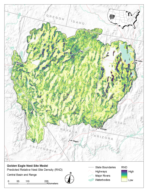 Map of modeled golden eagle relative nest site density in the Central Basin and Range