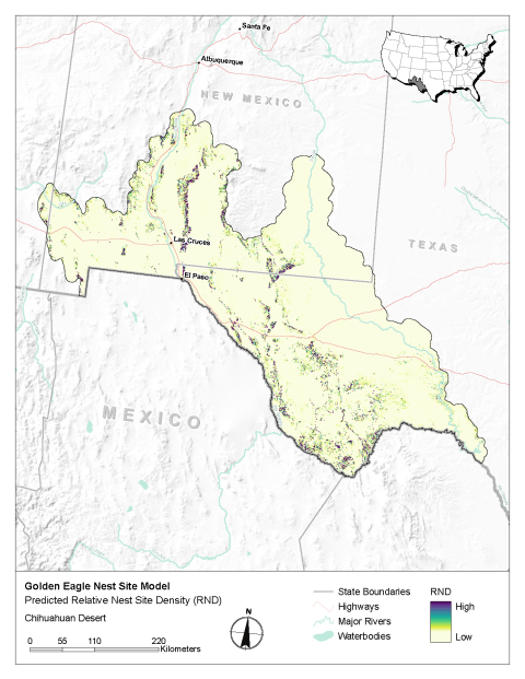 Map of modeled golden eagle relative nest site density in the Chihuahuan Desert