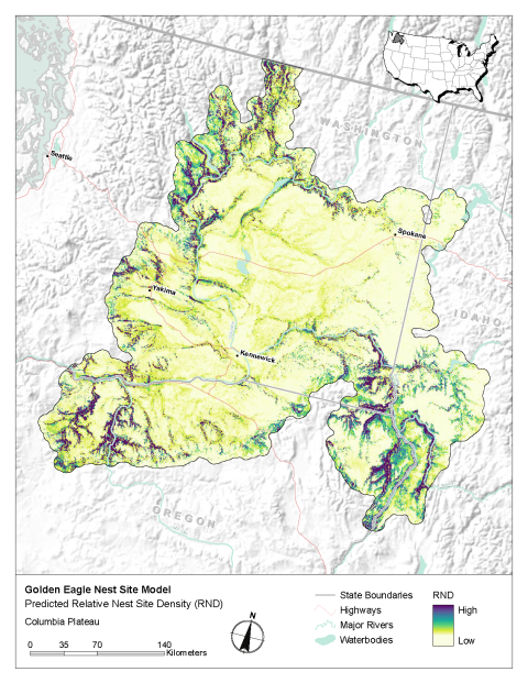 Map of modeled golden eagle relative nest site density in the Columbia Plateau