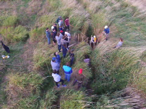 A group of people stands in a marsh near a beaver dam analog structure.