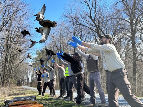 a group of people stand in a line and release ducks into the air