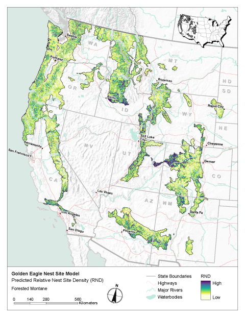 Map of modeled golden eagle relative nest site density in the Forested Montane
