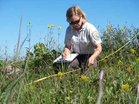 Sara is conducting a belt transect survey for the Grassland Monitoring Team. Photo Credit: Lauren Dennhardt/USFWS 