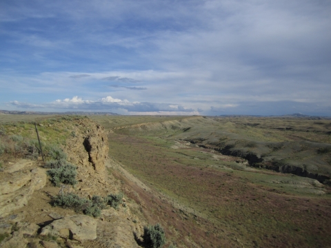 Golden eagle habitat in Wyoming. Credit: Brian W. Smith, USFWS.