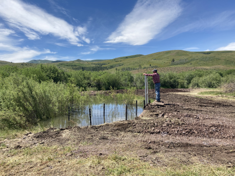 A man is standing with his hands on two fence posts surrounding a pond of water. THe pond is fenced around, and outside of the fence is dirt that looks trampled. On the horizon, green rolling hills can be seen. 