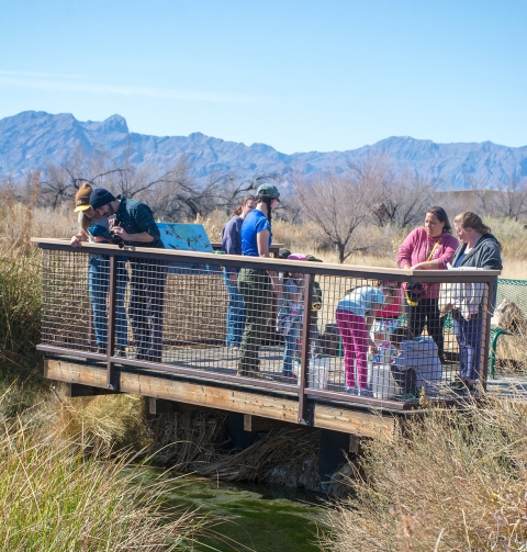 People standing on a platform above water
