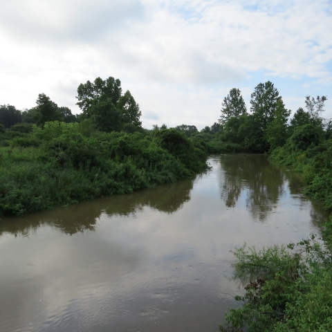 Photo of stream with habitat on the sides