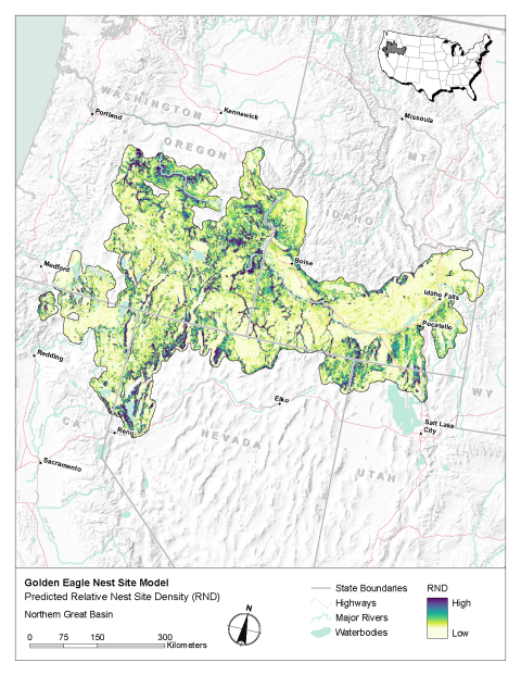 Map of modeled golden eagle relative nest site density in the Northern Great Basin