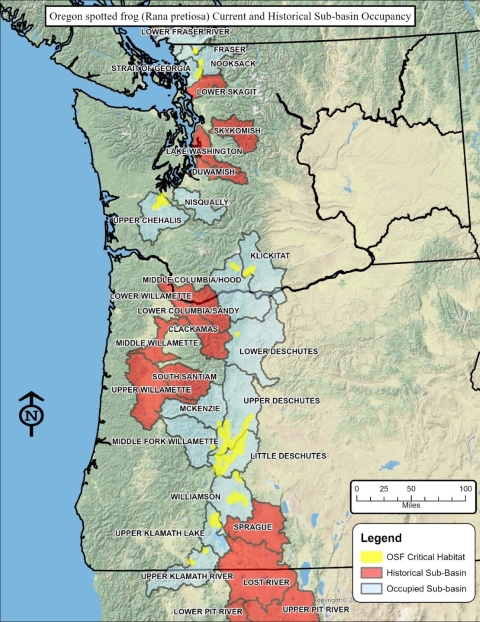 Map of Oregon, Washington, and part of California showing the approximate location of Oregon spotted frog critical habitat. Also shows the historical and occupied subbasins where Oregon spotted frog occur. 
