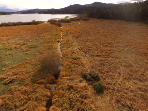 Drone footage of a artificially straightened creek passing through an agricultural field. 