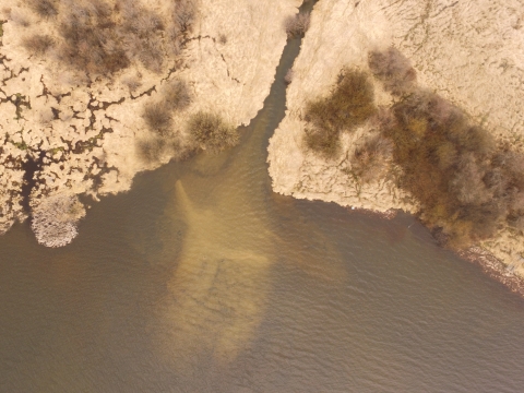 Phosphorous-laden sediment plume flowing into a waterway. 