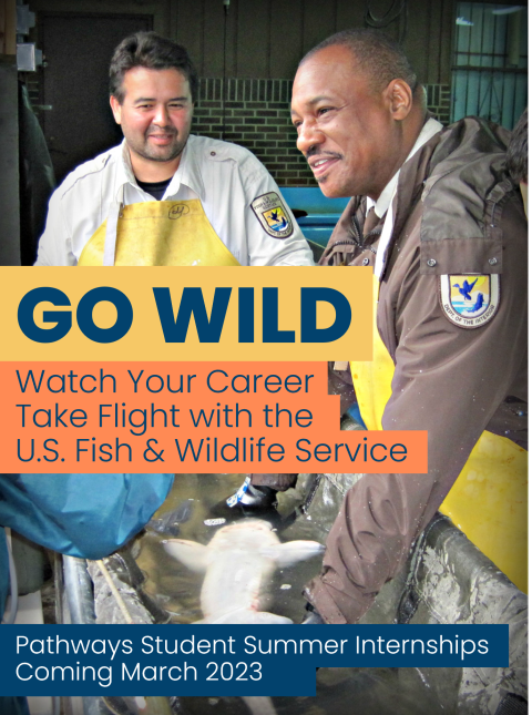 Fish biologist speaks with staff while holding a pallid sturgeon at the hatchery. Text reads "Go Wild. Watch your career take flight with USFWS. Pathways student summer internships coming March 2023