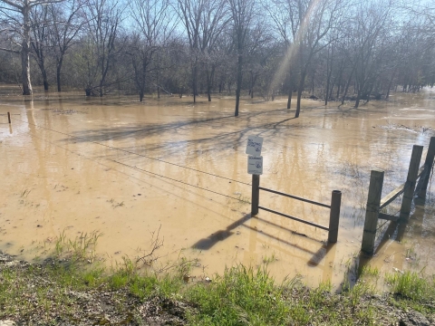 floodwaters across riparian forest at refuge fenceline