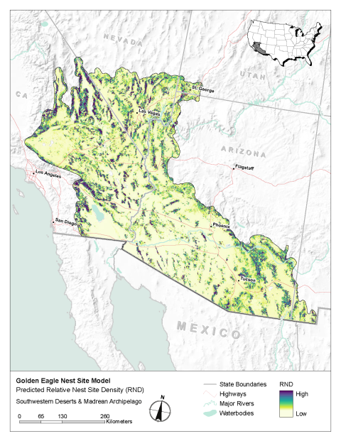 Map of modeled golden eagle relative nest site density in the Southwestern Deserts & Madrean Archipelago