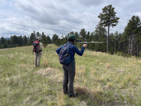 A graduate student and technician use receivers to track bats