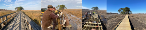 A series of four images laid side by side. first, an old decrepit boardwalk stretches across a marsh landscape. Next, a group of men work on a boardwalk construction project above shallow water. Next, men working alongside a semi-constructed boardwalk. Finally, the new boardwalk stretches towards a cluster of trees towards the horizon.