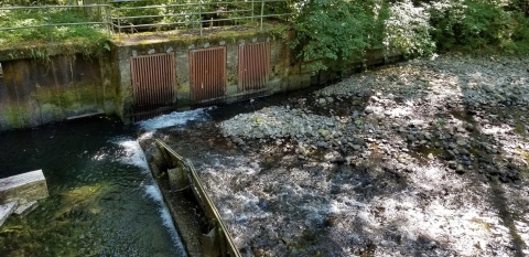 A barrier partially blocking water passage on a river