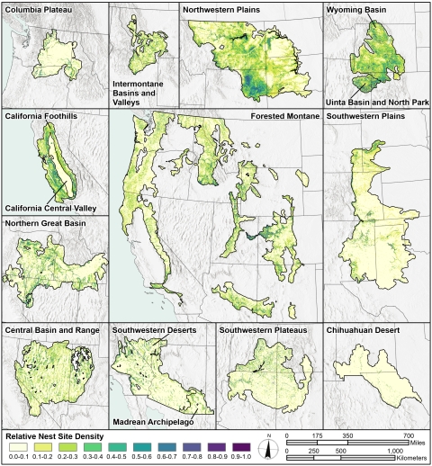 Map of golden eagle nest site density models in the western United States.