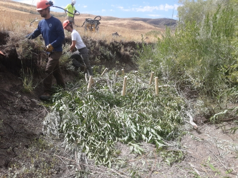 Three men can be seen wearing hard hats and working in a dry streambed. There is a pile of vegetation in the streambed with 3 wooden stakes in the middle of the pile.