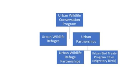 The image is a figure consisting of five blue boxes that show the organization of the Urban Wildlife Conservation Program. At the top is a box labeled Urban Wildlife Conservation Program. Beneath that box and connected by lines are two boxes, one labeled Urban Wildlife Refuges and one labeled Urban Partnerships. Off the Urban Partnership box there are two boxes connected by a line, one labeled Urban Wildlife Refuge Partnerships, and one labeled Urban Bird Treaty Program Cities (Migratory Birds). 
