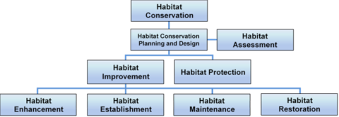 Habitat conservation diagram, which includes the different types of habitat conservation, their assessment and protection
