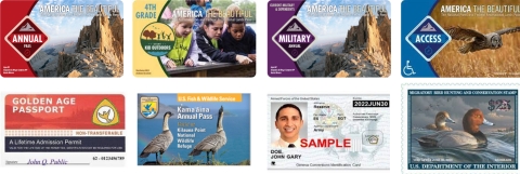 Image of American the Beautiful Passes, Federal Duck Stamp, and Military ID.