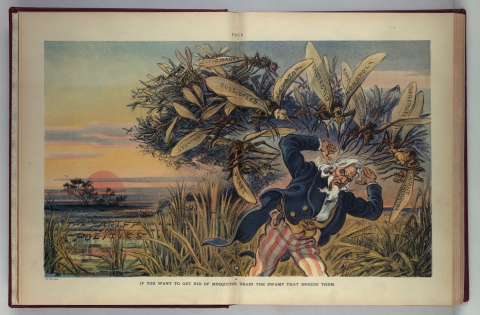 An illustration of Uncle Sam running from a wetland, being chased by giant mosquitoes. Text at the top reads PUCK. Text at the bottom reads "If you want to get rid of mosquitos, drain the swamp that breeds them"