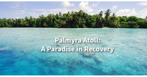 The clear water of Palmyra Atoll. The trees are in the background with the words Palmyra Atoll: A Paradise in Recovery below it