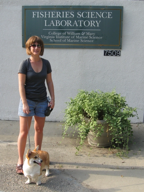 A woman wearing sunglasses, t-shirt and shorts stands in front of a building and a sign holding a leash with her small dog.