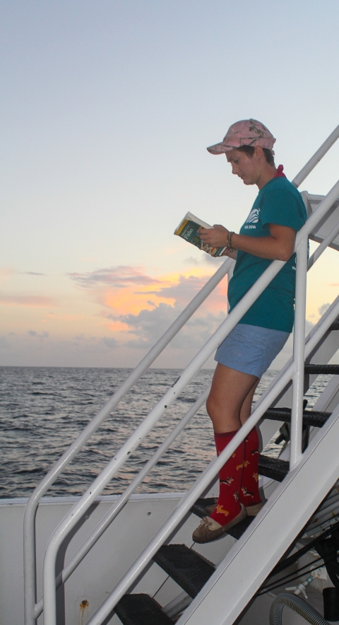 A woman standing on a staircase on the deck of a ship at sea. She is wearing a ball cap, t-shirt, shorts, and tall socks with dogs on them while reading a book. The sky is colorful with clouds.