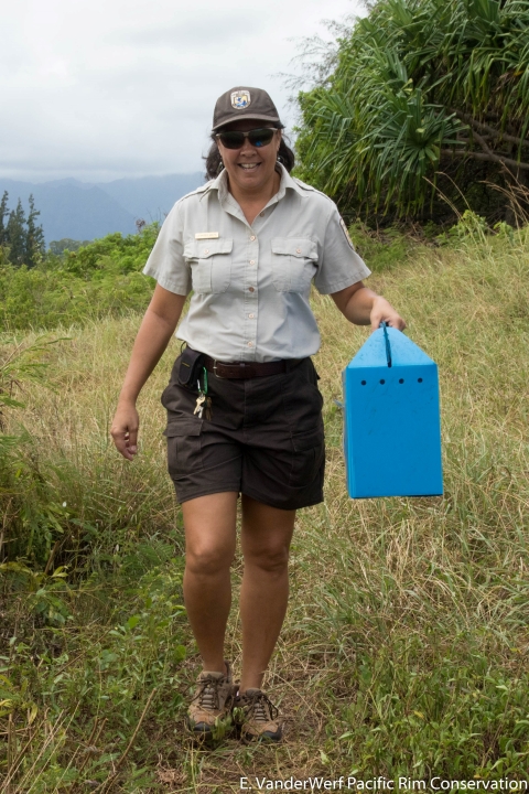 A USFWS member carries a blue box across a field. 