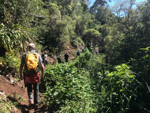 Hikers along a ridge covered in brush