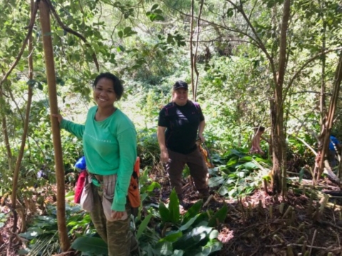 Two hikers stop along the trail at Kōkeʻe Park