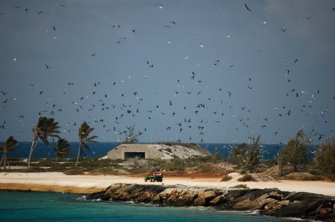 A cart with CAST members drives along the coast line of Johnston. A bunker is in the background and seabirds fly all around.