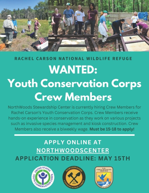 YCC Summer Youth Employment Program