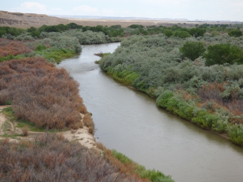The San Juan River downstream of Shiprock, NM, full of water during high summer baseflows.