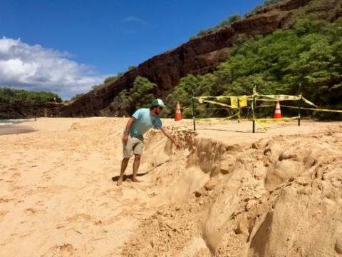 A co-coordinator of the Hawaii Wildlife Fund Hawksbill Recovery Project, indicates the area where the beach is eroding away below the nest site. He is standing next to a sectioned off mound of sand. 