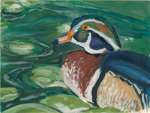 A wood duck painting with the duck entering the frame from the right in a pond of water lilies. 