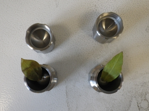 A top-down view of four small metal containers in a square formation, the two bottom bowls each hold one green leaf.