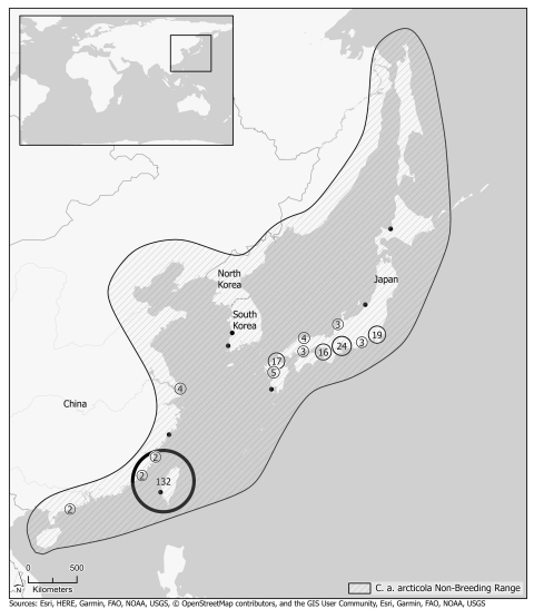 Map of locations depicting where Dunlin were resighted along the east Asian coastline. Lots of locations depicted in Japan.