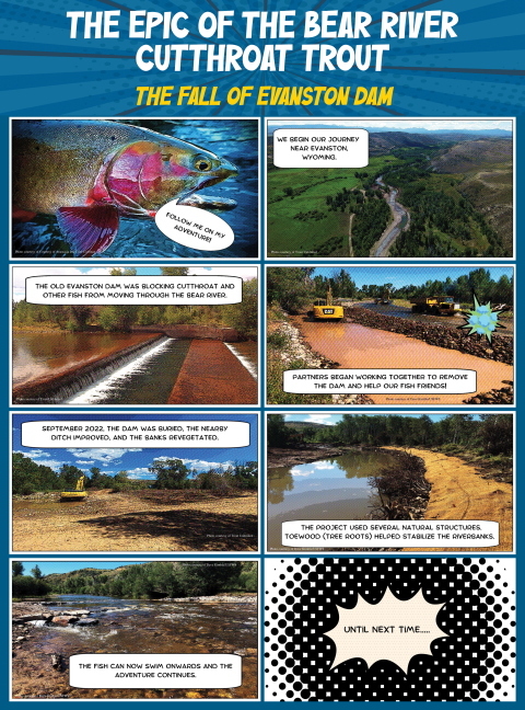blue comic strip with 8 boxes featuring graphics of a fish, landscapes, and construction work on a river, along with a title "The Epic of the Bear River Cutthroat Trout: The Fall of Evanston Dam"