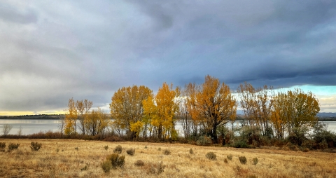 A row of trees with orange and yellow fall colors and a lake and dramatic cloudy sky in the background.