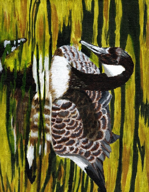 Painting of a Canada goose floating on water oriented towards the left side of the painting. 