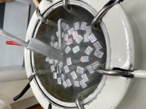 dewar with cryopreserved samples inside