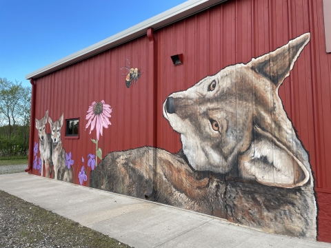 red wolf painted on a building with red background