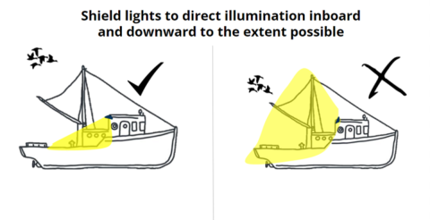 Text on the image reads "Shield lights to direct illumination inboard and downward to the extent possible". Two vessels are depicted. The vessel on the left shows downshielded lights directed inward and so this vessel is less of a collision risk to birds. The vessel on the right does not have its lights downshielded and is a collision risk to birds. 